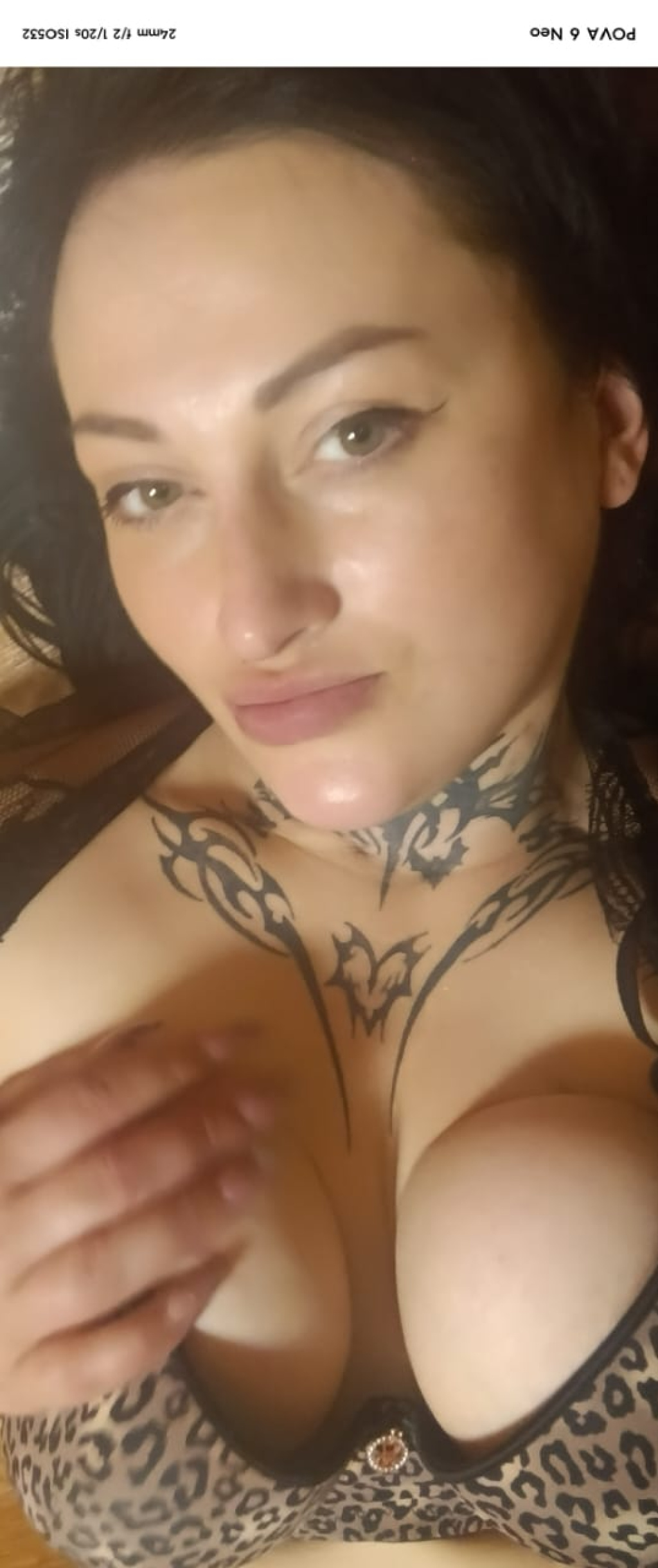 Эрика: проститутки индивидуалки в Омске