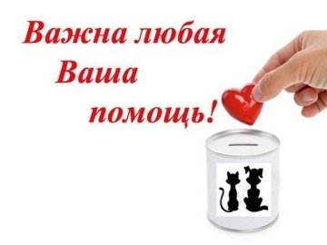 индивидуалка проститутка Омска